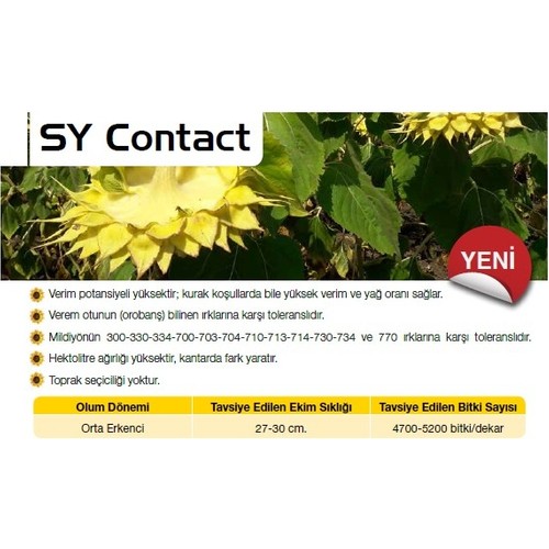 SY CONTACT