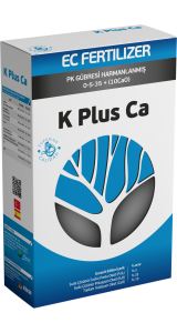 K PLUS Ca