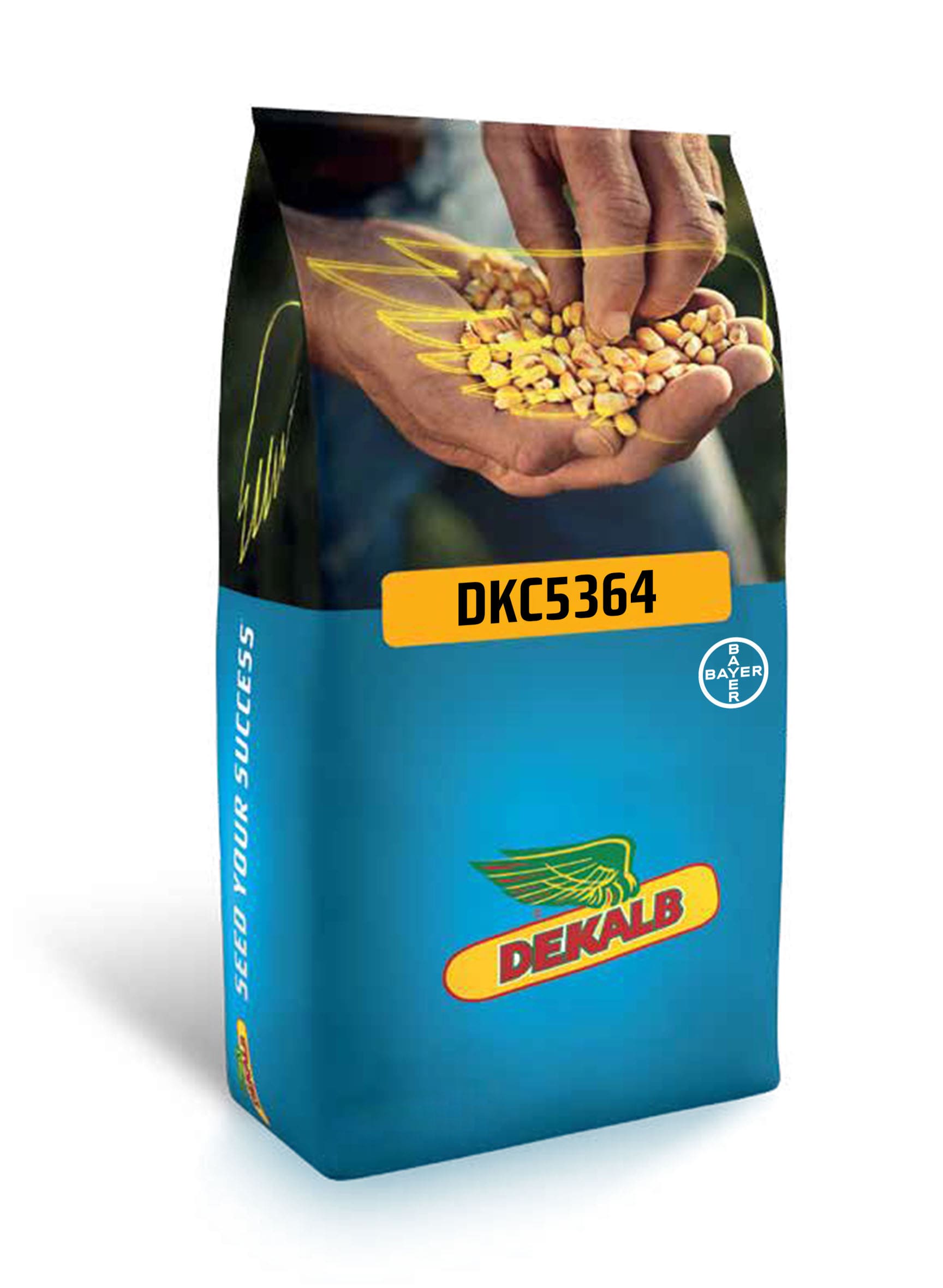 DEKALB 5364