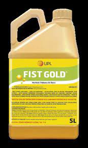 FIST GOLD