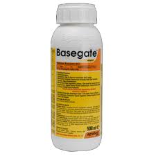 BASEGATE 