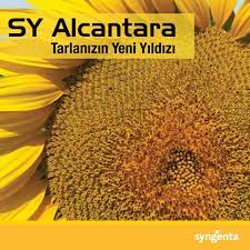 ALCANTARA 