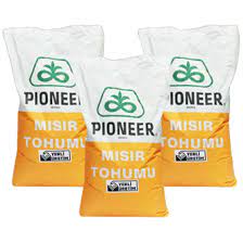 PİONEER 0900