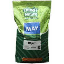 CAPUZİ 
