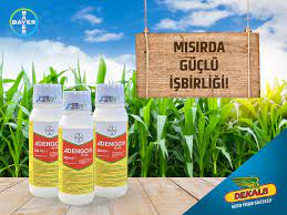 ADENGO SC465
