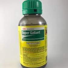 SUPER GALLANT 