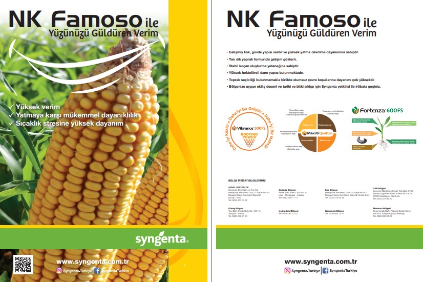 NK FAMOSA